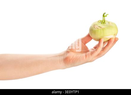 Kohlrabi in der Hand Weg isoliert auf weiß Stockfoto