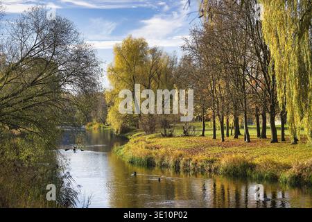 Während der Herbstsaison fließt ein ruhiger Fluss durch einen Park, umgeben von lebhaftem Laub und klarem Himmel Stockfoto