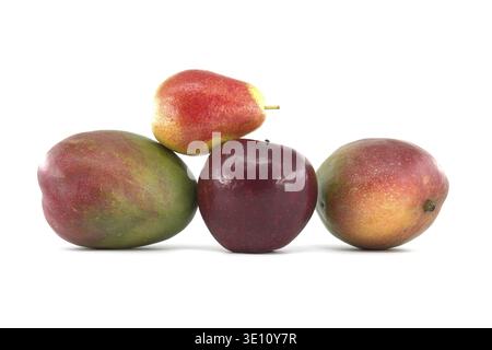 Frische ganze bunte reife Mango, Birnen und rote Apfelfrüchte isoliert auf weißem Hintergrund. Vitamine saftige Früchte Stockfoto