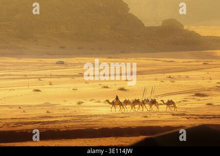 Jordanien, Wadi Rum - 2. November 2022: Kamelkarawane mit Drovern in der Wüste, Felsberge bei Sonnenuntergang Stockfoto
