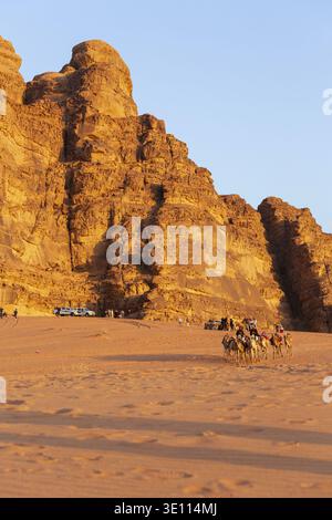 Jordanien, Wadi Rum - 2. November 2022: Kamelkarawane mit Fahrern in der Wüste, Felsenberge bei Sonnenuntergang Stockfoto