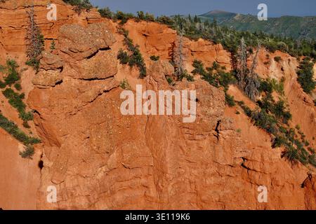 Szene rund um den Uinta National Park in Utah, die die wunderschöne Landschaft im Sommer zeigt Stockfoto