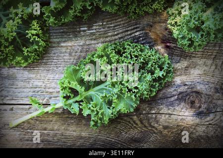Speichern Herunterladen Vorschau frische grüne, lockige Grünkohlblätter auf einem Holztisch. Selektiver Fokus. Rustikaler Stil. Gesundes vegetarisches Essen Stockfoto