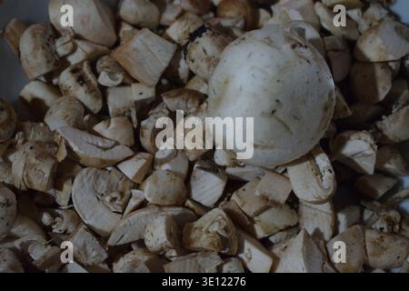 Nicht bearbeitetes Foto von der Nahaufnahme von frischen weißen Pilzen, einige ganz und einige grob gehackt, zum Kochen vorbereitet. Stockfoto