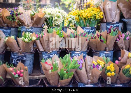 Frische Frühlingsblumen in einem Blumenmarkt erhältlich Stockfoto