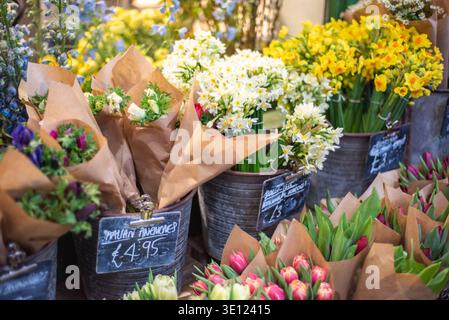 Frische Frühlingsblumen in einem Blumenmarkt erhältlich Stockfoto