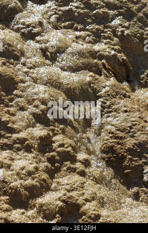 Kristallklares Wasser, das aus schmelzendem Schnee fließt, gemischt mit Kalksteinwasser aus der Erde im Huanglong-Nationalpark, Songpan County, China Stockfoto