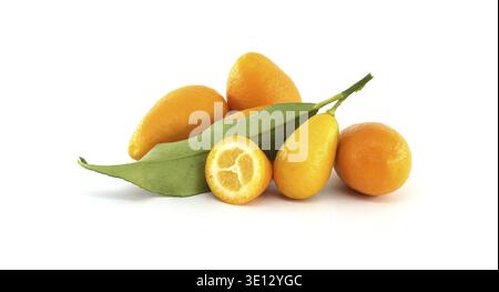 Mehrere reife Kumquats liegen auf einer weißen Oberfläche, von denen ein Kumquat in zwei Hälften geschnitten wird, um sein saftiges Fruchtfleisch und seine Samen zu enthüllen, umgeben von leuchtend grünen Blättern Stockfoto