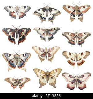 Motten-Aquarellset. Schmetterlinge auf weißem Hintergrund. Luna Moth Stockfoto