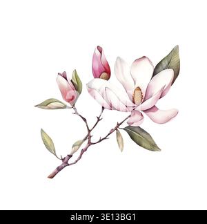 Aquarellblühende Magnolie. Frühlingsblütenzweig mit rosa Blüten und Blättern. Illustration für Grußkarten, Einladungen, Vorlagen, Scrapbooking Stockfoto
