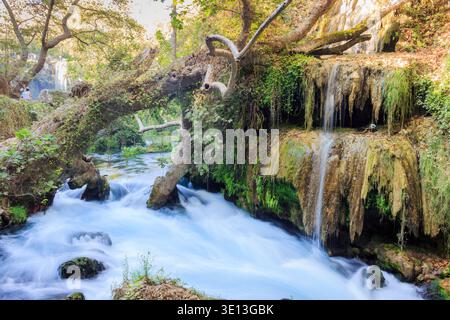 Seidenreiche Wasserfälle stürmen über moosbedeckte Stufenfelsen durch einen sonnendurchfluteten alten Wald in Kursunlu, Antalya, Türkei. Stockfoto