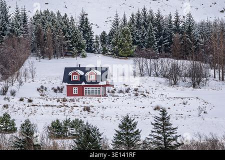 Ein rotes Sommerhaus inmitten schneebedeckter Bäume in Kjalarnes, Island. Malerische Winterlandschaft in der Region Reykjavík. Stockfoto