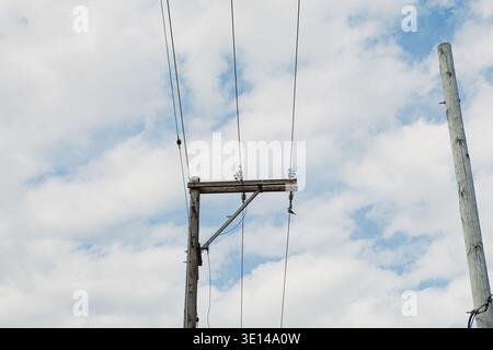 Zwei Holzmasten stützen Stromleitungen, während weiße Wolken den blauen Himmel tagsüber füllen. Die Stangen stehen hoch in einem offenen Bereich und liefern Strom für Stockfoto
