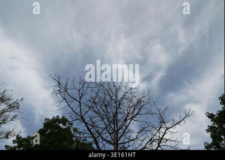 Neu-Delhi, Indien. März 2026. NEW DELHI, INDIEN - 14. MÄRZ: Ein blauer und klarer Himmel über dem Nehru Park ist bei angenehmem Wetter am 14. März 2026 in New Delhi, Indien, zu sehen. (Foto: Arvind Yadav/Hindustan Times/SIPA USA) Credit: SIPA USA/Alamy Live News Stockfoto