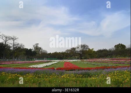 Neu-Delhi, Indien. März 2026. NEW DELHI, INDIEN - 14. MÄRZ: Ein blauer und klarer Himmel über dem Nehru Park ist bei angenehmem Wetter am 14. März 2026 in New Delhi, Indien, zu sehen. (Foto: Arvind Yadav/Hindustan Times/SIPA USA) Credit: SIPA USA/Alamy Live News Stockfoto