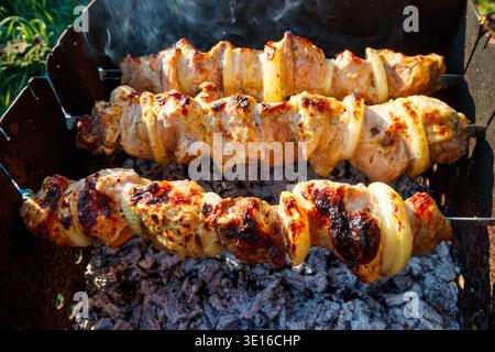 Gegrillter Kebab auf Metallspieß. Gebratenes Fleisch gekocht am Grill.traditionelle östliche Gericht, Shish Kebab. Grill auf Holzkohle und Flamme, Picknick, str Stockfoto