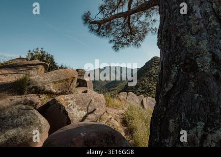Mit Flechten bedeckte Sandsteinfelsen und der Stamm einer Kiefer umrahmen einen malerischen Blick auf die sanften Hügel Stockfoto