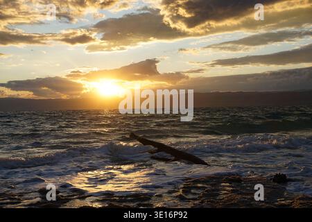 Sonnenuntergang über dem Toten Meer mit Wellen, die felsige Küste erreichen, und Treibholz im Vordergrund, Jordanien. Stockfoto