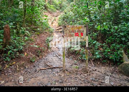 Tanah rata, Cameron Highlands, Malaysia – 27. Januar 2020: Weathered Trail 10 Markierungsschild neben einem schlammigen Wanderweg durch dichte Waldvegetation. Stockfoto