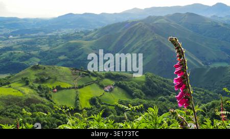 Pyrenäenlandschaft auf dem Jakobsweg, Frankreich bis Spanien. Stockfoto
