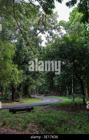 Eine gewundene asphaltierte Straße führt durch einen dichten tropischen Waldpark mit üppigen Bäumen und grüner Vegetation. Stockfoto