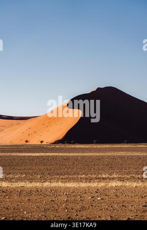 Die Düne 45 in Namibias Namib-Wüste ist in das warme Licht des Sonnenaufgangs getaucht und hebt ihre markanten Kurven und leuchtenden Farben vor dem weitläufigen bl hervor Stockfoto