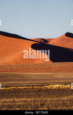 Atemberaubender Blick auf die Düne 45 in Namibia mit ihren markanten roten Sanddünen unter einem klaren blauen Himmel. Die berühmte Landschaft ist ein Highlight der Namib D Stockfoto