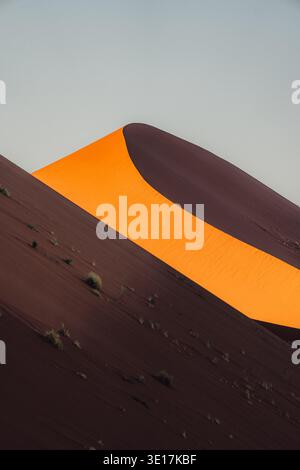 Ein atemberaubender Blick auf die Dune 45 in Namibias Namib-Wüste mit ihren markanten Orange- und Rottönen unter klarem Himmel. Die glatten Kurven des Sandes Stockfoto