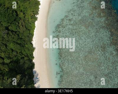 Atemberaubender Blick aus der Vogelperspektive, der das harmonische Treffen von üppigem tropischem Wald, unberührtem weißen Sandstrand und lebendigem Korallenriff im türkisfarbenen Wasser einfängt Stockfoto