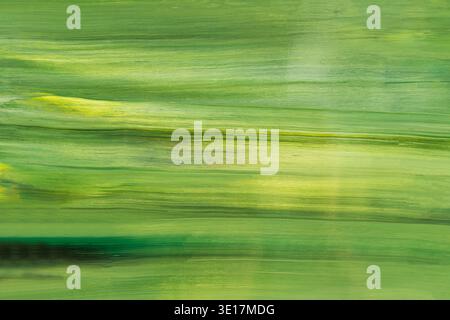 Lebendige Grüntöne verschmelzen sanft in diesem Acrylfarben-Hintergrund und zeigen eine ruhige, natürliche Landschaft mit dynamischen Pinselstrichen. Perfekt für artis Stockfoto