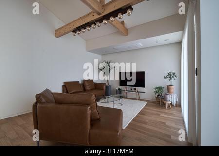 Minimales Wohnzimmer mit Ledersofa und Holzdecken. Stockfoto