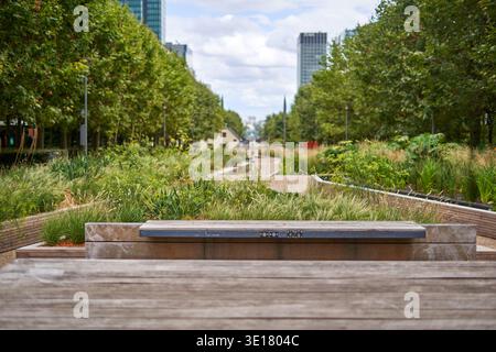 Eine ruhige urbane Parkszene mit verwitterten Holzbänken im Vordergrund, mit Blick auf einen gewundenen Pfad gesäumt von üppigen einheimischen Gräsern und... Stockfoto