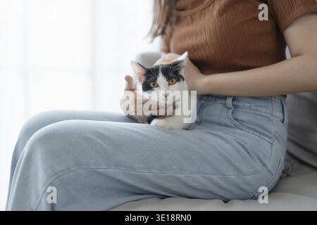Asiatische Frau Besitzer spielt mit Katze auf Sofa zu Hause Stockfoto