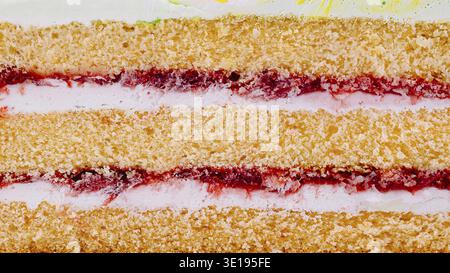 Nahaufnahme eines köstlichen, mehrschichtigen Kuchens, der die Konsistenz des Biskuittortes, der Sahnefüllung und der Erdbeermarmelade zeigt Stockfoto