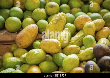 Ein großer Haufen grüner Früchte, Zitronen, Mangos und Guave aus Sri Lanka liegt auf dem Theke eines Gemüsemarktes zum Verkauf Stockfoto