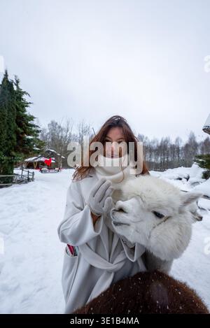 Frau in grauem Mantel kuschelt weißes Alpaka im verschneiten ländlichen Park Stockfoto