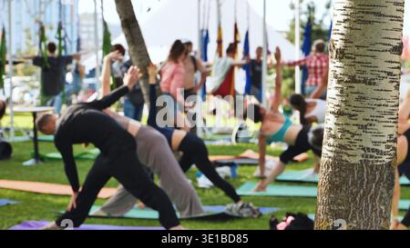 Gruppe von Menschen, die Yoga beim India Day Festival im Moskauer Park praktizieren Stockfoto