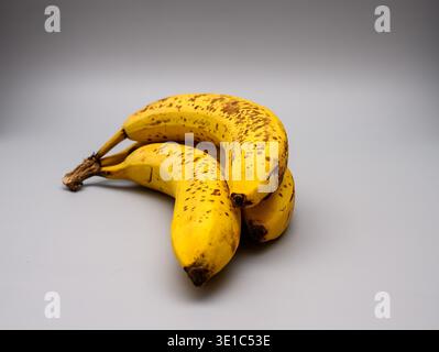 Drei reife Bananen liegen auf einer Ebenen Fläche. Die Bananen haben dunkle Flecken und eine gelbe Farbe. Der Hintergrund ist grau und schlicht und zeigt die Bananen c Stockfoto