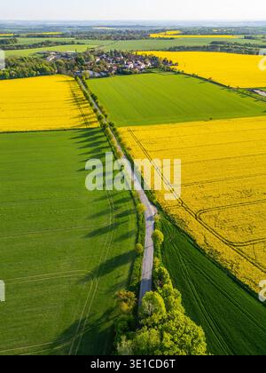 Lebhafte Frühlingsfelder mit leuchtend gelbem Rapssamen und üppigem grünem Gras. Der Blick aus der Vogelperspektive fängt eine gewundene Straße ein, die zu einem malerischen Dorf führt, das zwischen den Feldern eingebettet ist. Stockfoto