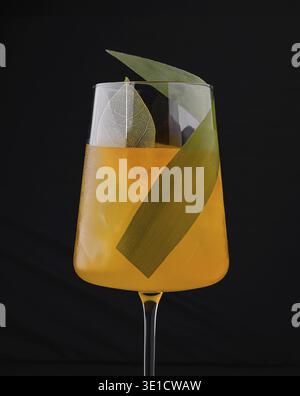 Erfrischende orangefarbene Cocktailstände auf dunklem Hintergrund, garniert mit leuchtend grünen Blättern Stockfoto