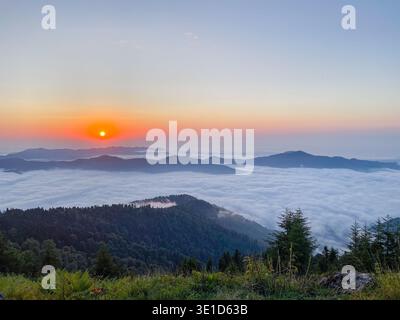 Atemberaubender Blick auf den Sonnenaufgang mit mehrschichtigen Bergkämmen, die aus einem Meer aus weißen Wolken mit orangefarbener Sonne und farbenfrohem Himmel auftauchen. Waldbedeckte Gipfel c Stockfoto