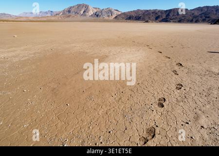 Fußspuren markieren einen Pfad über die zerrissene, trockene Erde einer Wüstenlandschaft mit zerklüfteten Bergen im Hintergrund unter einem klaren blauen Himmel. Das Bild Stockfoto