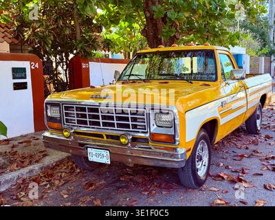 Leuchtend gelber Vintage-Pickup-Truck, der unter grünen Bäumen in einer ruhigen Wohnstraße in Mérida, Yucatán, Mexiko, geparkt wurde. Stockfoto