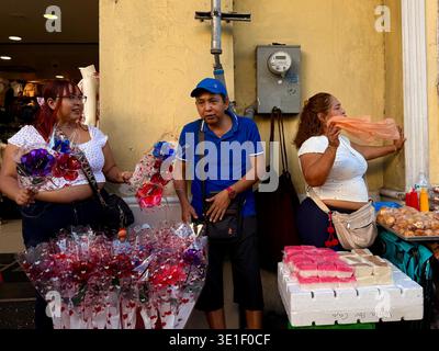 Einkaufsstraße im Centro Histórico, Mérida, Yucatán, Mexiko. Stockfoto