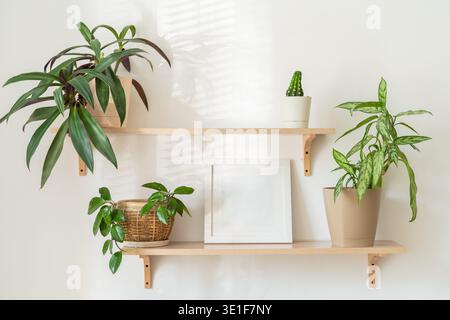 Minimalistische Pflanzenanordnung auf Holzregalen mit gerahmter Kunst und natürlichem Licht Stockfoto