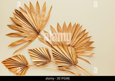 Natürliche getrocknete Palmblätter auf weichem beigem Hintergrund in einer klaren, minimalistischen Komposition. Stilvolle botanische flache Ladefläche, ideal für Boho-Dekor und Kleie Stockfoto