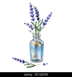Handgezeichnete Aquarellillustration von lila Lavendelzweigen in einer zarten Glasflasche. Diese bezaubernde botanische Komposition verfügt über weiche Texturen und Stockfoto