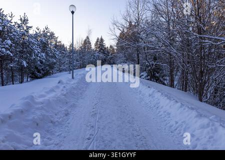Verschneite Landstraße in ruhigem Winterwald Stockfoto