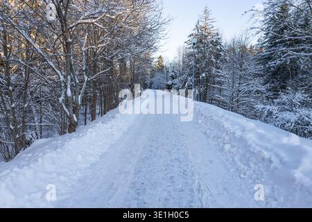 Schneebedeckte Straße durch die winterliche Waldlandschaft Stockfoto
