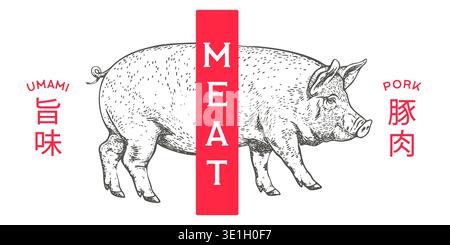 Schweinefleisch, Schwein, Schwein, Fleischskizze, handgezeichnet Stock Vektor